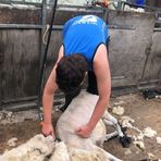 Ifan Williams - Facebook