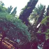 Iffat Alam Khan - @iffatalamkhan - TikTok
