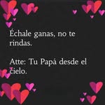 Luna Lunita - @ignacia.luna.967 - Instagram