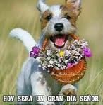 Ignacia Solis - Facebook