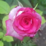 Ignacia Solis - Facebook