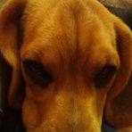 Ignacio Abad - Facebook