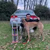 Ignacio Ahumada - @ignacioahumada04 - TikTok