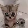 Ignacio Alamilla - @perezperalta21937 - TikTok