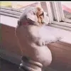 ignacio alcala - @alcala472 - TikTok