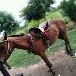 Ignacio Alfonzo - @ignacioalfonzo2 - Instagram