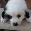 Ignacio Alvarez - @ignacio.alvarez536 - TikTok