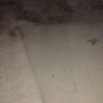 ignacio ampuero - @ampuero_ignacio - Instagram