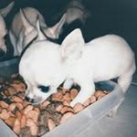Ignacio Apodaca Mendoza - @ignacio_apodaca - Instagram