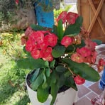 Ignacio Arango - Facebook
