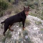 Ignacio Juarez Arguelles - @juarezarguelles - Instagram