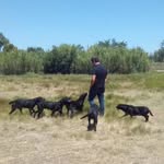 José Ignacio Ariza Dóiz - @ignacioenanzo - Instagram