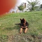 Jose Ignacio Armendariz - @armendarizjoseignacio - Instagram