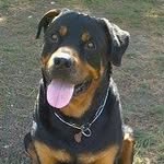 Jose Ignacio Santos Arranz - @joseignaciosantosarranz - Instagram