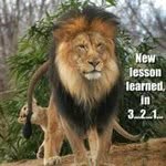 Ignacio Arreola - @ignacio7438 - Instagram