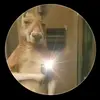 Ignacio astudillo - @ignacio.astudillo67 - TikTok