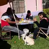 Ignacio.avalos - @ignacio.avalos - TikTok