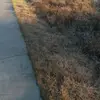 Ignacio Aviles - @ignacio.aviles36 - TikTok