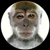 Ignacio Barria153 - @n4ch0_345 - TikTok