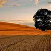 ignaciobarriga48 - @ignaciobarriga48 - TikTok
