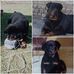 Jose Ignacio Dal Bello - Facebook