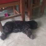 Ignacio Bibiano - Facebook