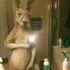 Ignacio Blanco - @ignacioblanco7629 - TikTok