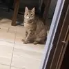 Ignacio Blanco - @ignacioblanco - TikTok