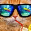 ignacio_blanco - @ignacio_blanco - TikTok