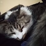 diego ignacio bobadilla garcia - @diegoignaciobobadillagarcia - Instagram