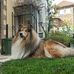Ignacio Calvo - Facebook