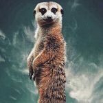 Jose Ignacio Cardona - @joseignaciocardona - Instagram