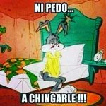 carlin ignacio - @carlinignacio - Instagram
