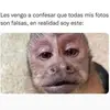 ignaciocarrasco972 - @ignaciocarrasco972 - TikTok