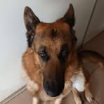 Ignacio Carreño - Facebook