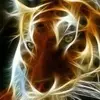 Ignacio Carreon salinas - @ignacio.carreon.s - TikTok