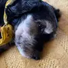 Ignacio Carrera - @ignacio.carrera89 - TikTok