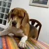 ignaciocasas04 - @ignaciocasas04 - TikTok