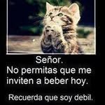 Ignacio Cedillo - @ignaciocedillo78 - Instagram