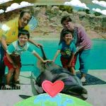 Ignacio Chavez Cedillo - @ignaciochavezcedillo - Instagram