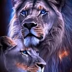 Ignacio Chan - Facebook