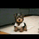 @ignacio_chaparro - Instagram