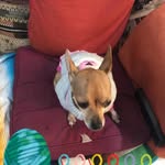 Ignacio Chavarin Aguilar - @nacho5508 - Instagram