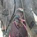 Ignacio Chavarria - Facebook