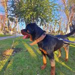 Pedro Ignacio Ignacio Chavarria Vergara - @antojiji_ - Instagram