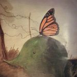 J. Ignacio. Collado - @j.ignacio.collado - Instagram