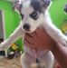 Ignacio Conde - Facebook
