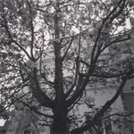 Ignacio Corrales - @nacescorr - Instagram