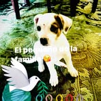 Ignacio Covarrubias - Facebook