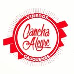 Ignacio Duran - @canchaalegre - Instagram